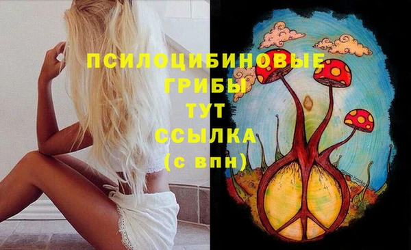 спиды Алексин