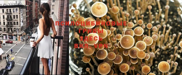 спиды Алексин